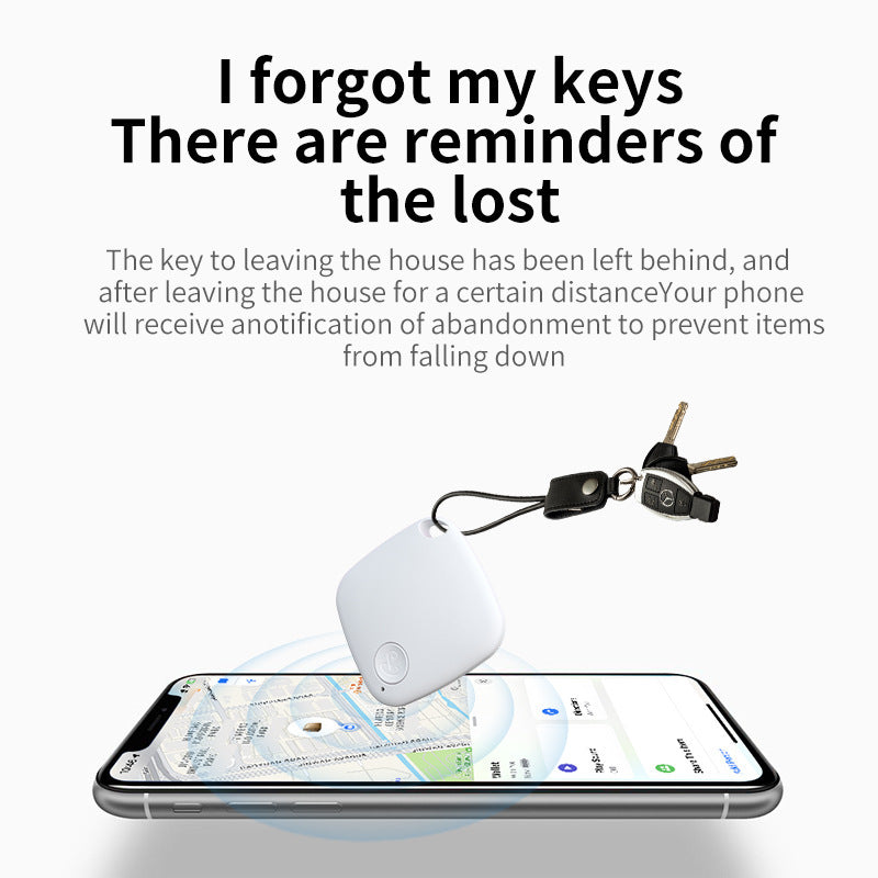 Global Locator Alarm Reminder